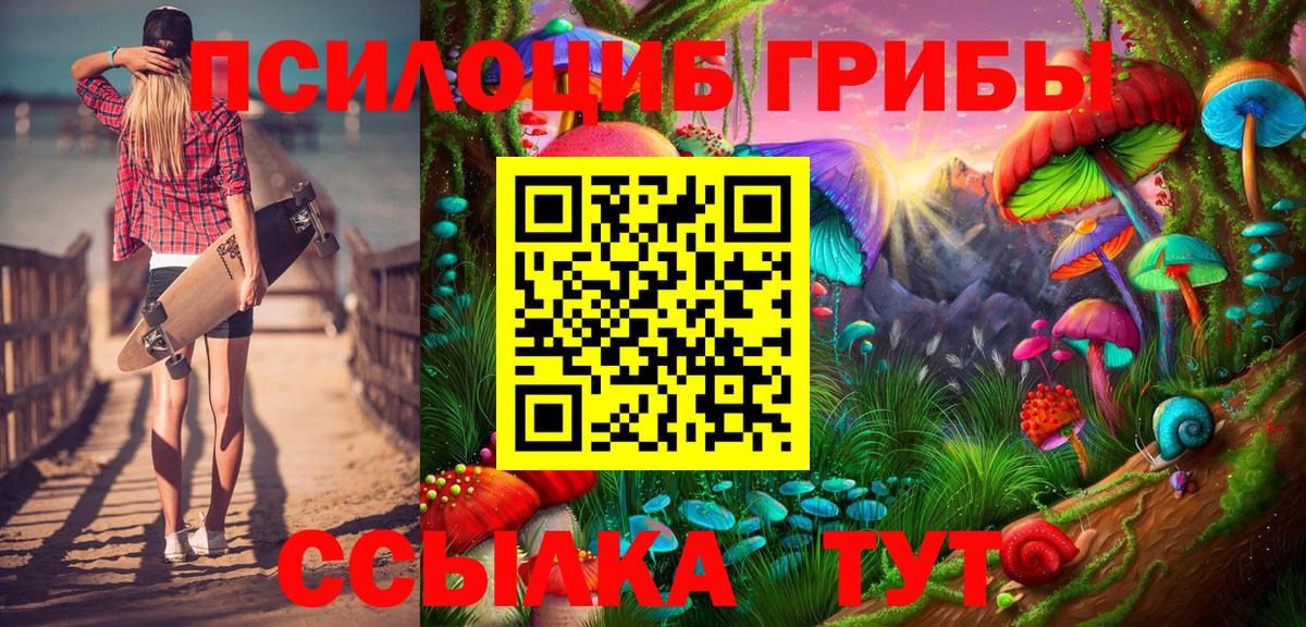 Псилоцибиновые грибы Cubensis  Вход с VPN  закладки  Нефтекумск 