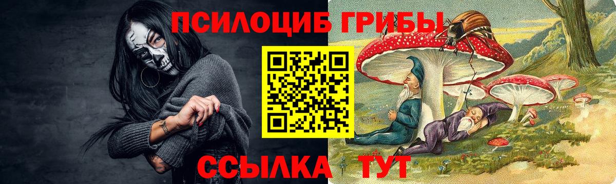 Псилоцибиновые грибы мицелий Нефтекумск